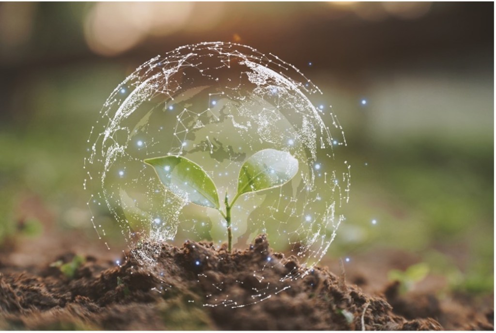 The current image has no alternative text. The file name is: a4114369-1cd2-7225-b5f6-0ee9c52807d8.jpg